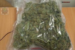 Policjanci zabezpieczyli ponad kilogram marihuany