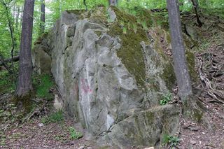 Rezerwat Grapa w Żywcu