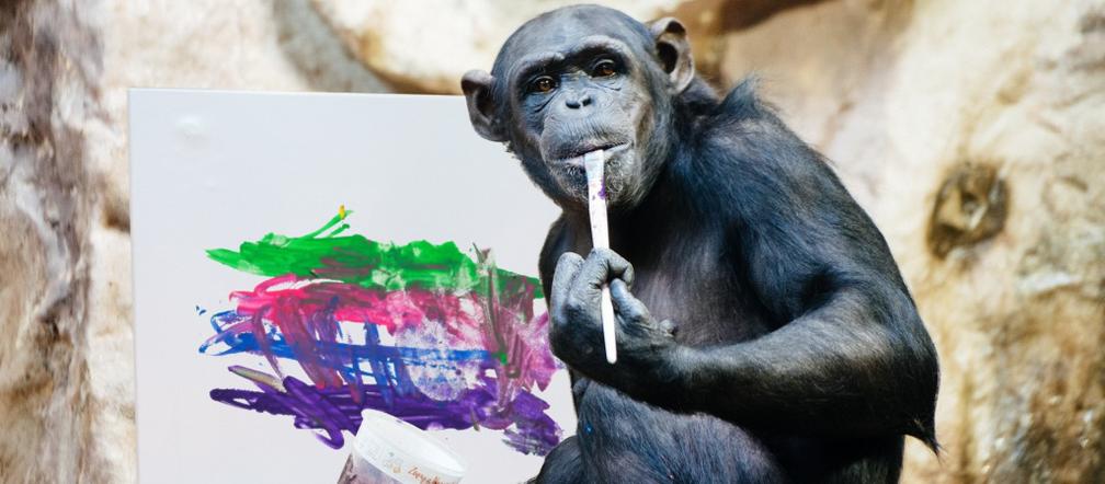 Obraz szympansicy Lucy