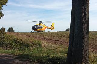 Samochód wbił się w drzewo niedaleko Strzelec Krajeńskich. Kierowca cudem przeżył!