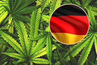 Legalna marihuana w Niemczech jeszcze w tym roku! Jest porozumienie