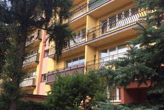 SPADŁ Z 3 PIĘTRA I ZAWISŁ NA DRZEWIE