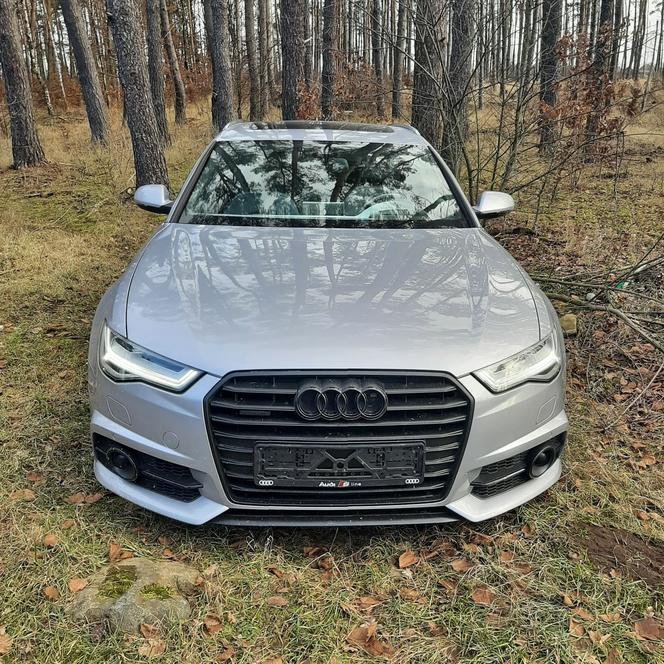 Leśnicy znaleźli w lesie luksusowe auto