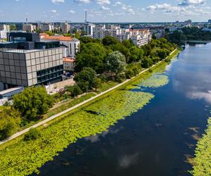 Nowy budynek fabryki czekolady Wedla