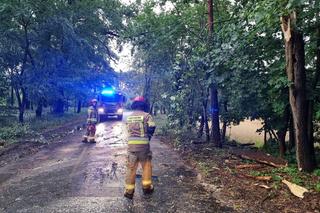 Tragiczna nawałnica! Jedna osoba poszukiwana