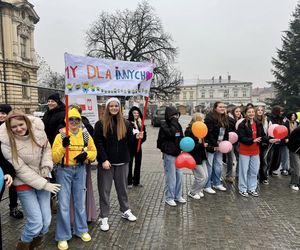 Międzynarodowy Dzień Wolontarusza w Nowym Sączu 