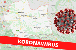 Koronawirus w Małopolsce - najnowsze dane. Skąd pochodzą zakażeni, ile osób wyzdrowiało? [RAPORT 08.05.2020]