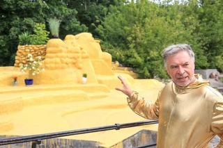 Złoty wybieg na terenie zoo w Warszawie