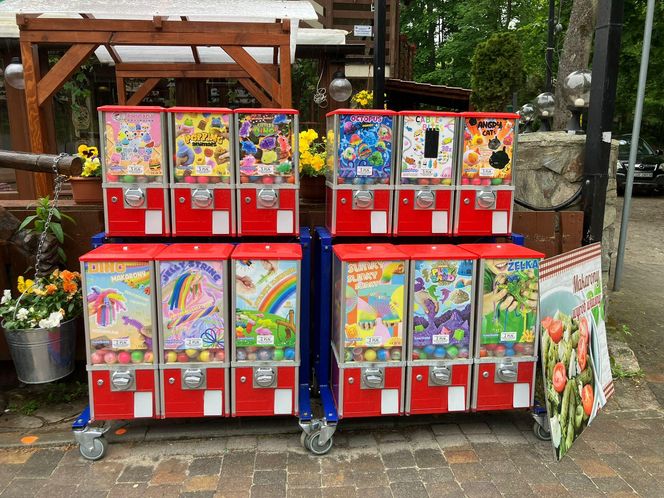 Krynica Morska to popularne miejsce na urlop. Jakie sątu ceny?