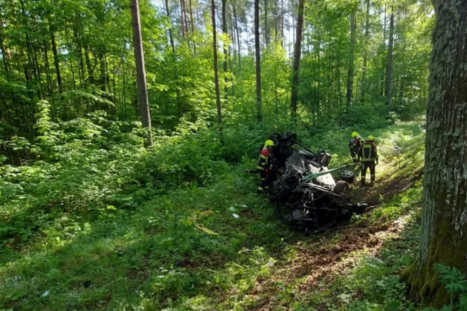 Śmiertelny wypadek. Ciało kierowcy znalezione obok auta