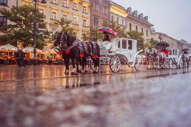 Rynek Główny w Krakowie [ZDJĘCIE DNIA]