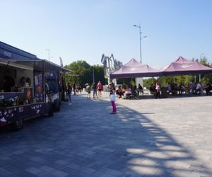 Festiwal Food Trucków w Olsztynie. Pod halą Urania można zjeść dania z kuchni całego świata [ZDJĘCIA]