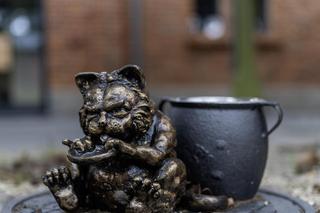 Koty na Księżym Młynie w Łodzi