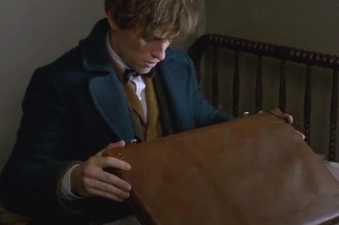 Fantastyczne zwierzęta na nowych zdjęciach! Newt Scamander to prawdziwy czarodziej