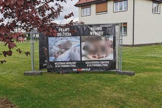 Antyaborcyjne plakaty w Koninie