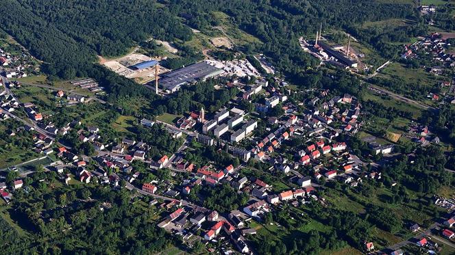 7. Gozdnica