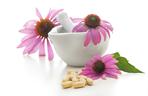 Jeżówka (echinacea) na przeziębienie i wzmocnienie odporności