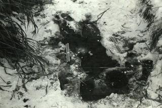 Wampir nie zabił, szukają mordercy bez twarzy