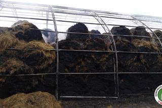 Pożar na terenie ośrodka jeździeckiego Lando