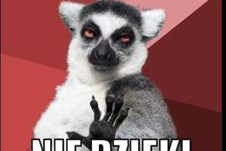 Memy egzamin gimnazjalny 2015