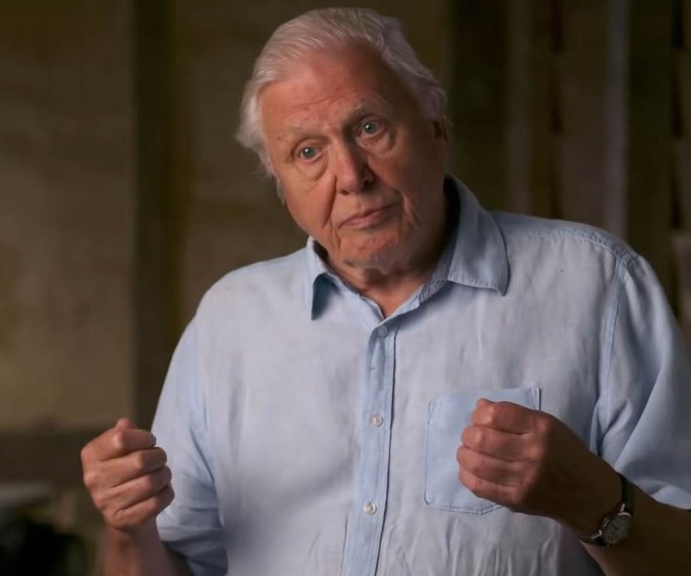 David Attenborough wykluczył z diety jeden produkt. To sekret jego długowieczności