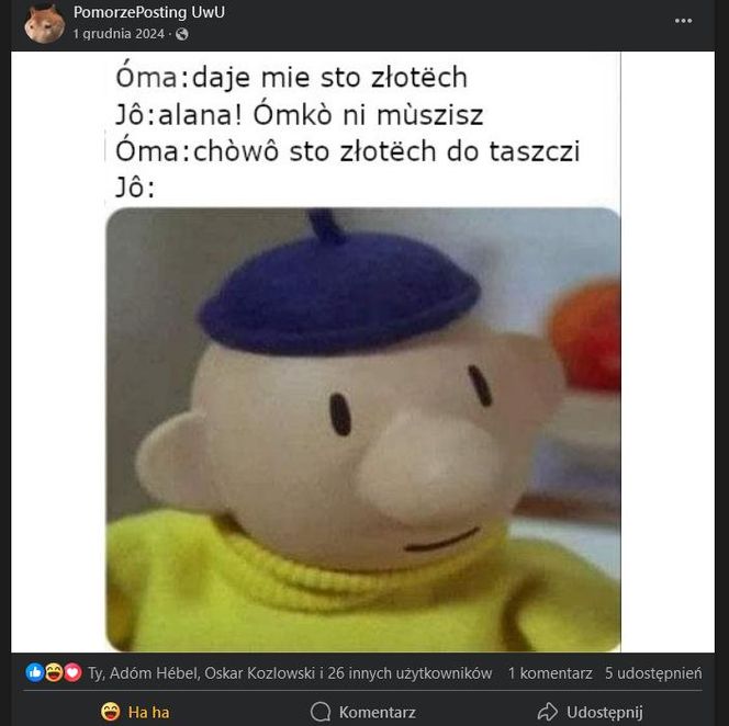 Mem ze strony FB PomorzePosting UwU
