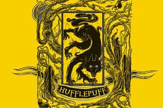 Nowe wydanie Harry'ego Pottera już w Walentynki 2024! Zobaczcie okładki! [ZDJĘCIA]