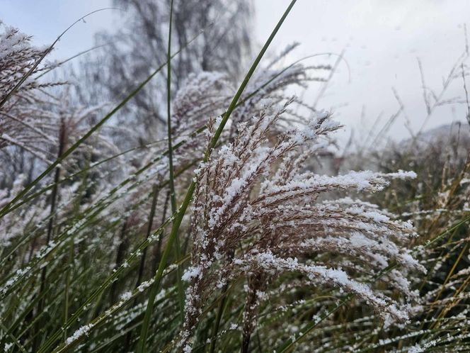 Pierwszy śnieg na Podkarpaciu