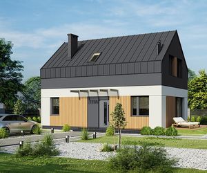 A111aN/1 Przebojowy AN pa to jedna z kilkudziesięciu wersji popularnego projektu