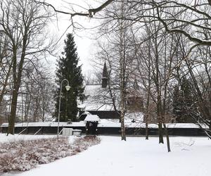 Zimowe szaleństwo w Parku Kościuszki w Katowicach