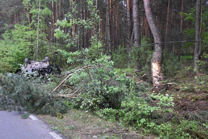 Samochód zderzył się z łosiem. Dwie osoby zginęły na miejscu 