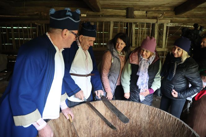 Tak ongiś siekano kapustę w woj. lubelskim. „Obieraczki kapuściane” w Muzeum Wsi Lubelskiej