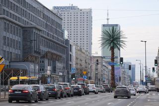 Odmieniona palma na rondzie de Gaulle'a w Warszawie