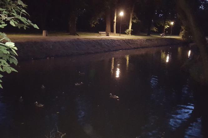 Odmulono staw w parku na osiedlu Słocina