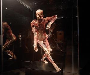 Wystawa Body Worlds w Szybie Wilson w Katowicach