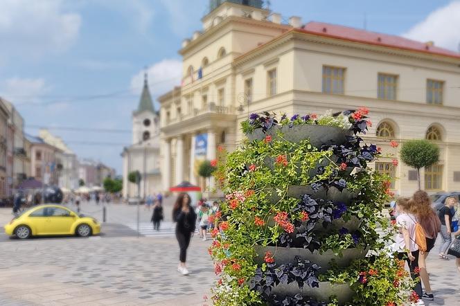 Lublin: Nowe kwiaty wypełnią donice i skrzynki 