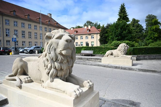 Koszalińskie lwy odzyskały dawny blask