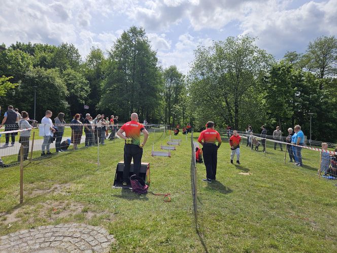Festiwal Przyjaciół Zwierząt w Olsztynie. Park Centralny opanowały radosne pieski