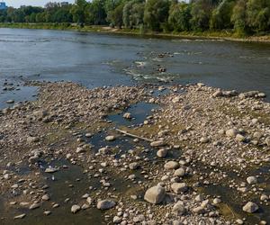 Wisła wysycha - rekordowo nisko poziom wody. Zobacz zdjęcia