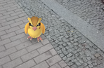 Pokemony opanowały Lublin