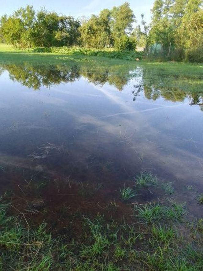 Mieszkańcy Nowego Krzymowa boją się podtopień swoich posesji