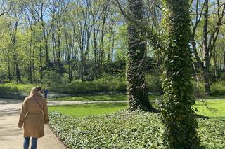 Wiosna w Łazienkach Królewskich