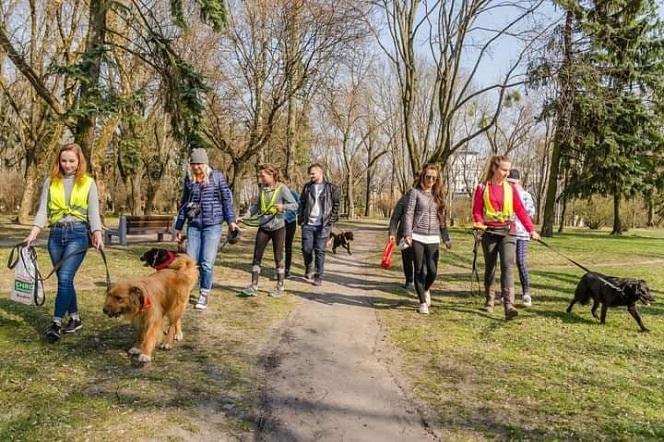 Schronisko dla zwierząt w Białymstoku szuka wolontariuszy. Kto może dołączyć do wolontariatu? 