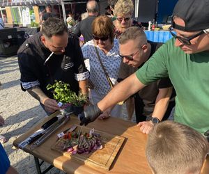Festiwal Browarnictwa i Święto Wołowiny 2025 