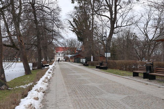 Zimowy spacer po roztoczańskim Zwierzyńcu