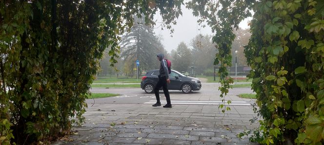Zamojski Park jesienią