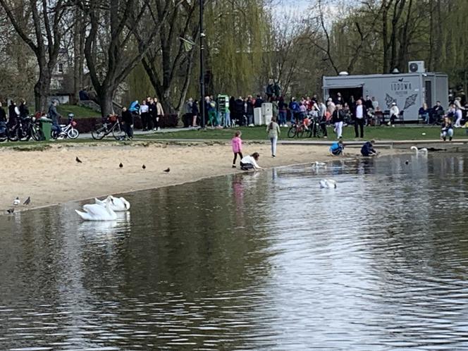 Stawiki w Sosnowcu budzą się do życia na wiosnę