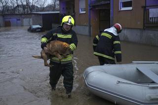 Pogodowe szaleństwo w Europie. Wiosna w styczniu, ulewy i powodzie wyparły śnieg i mróz