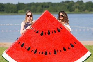 Owocowa Plaża w Zborowie 