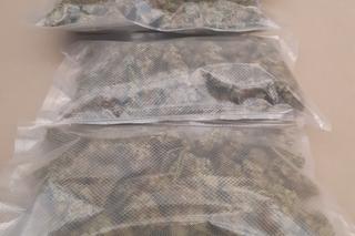 Narkotyki zabezpieczone podczas akcji policji